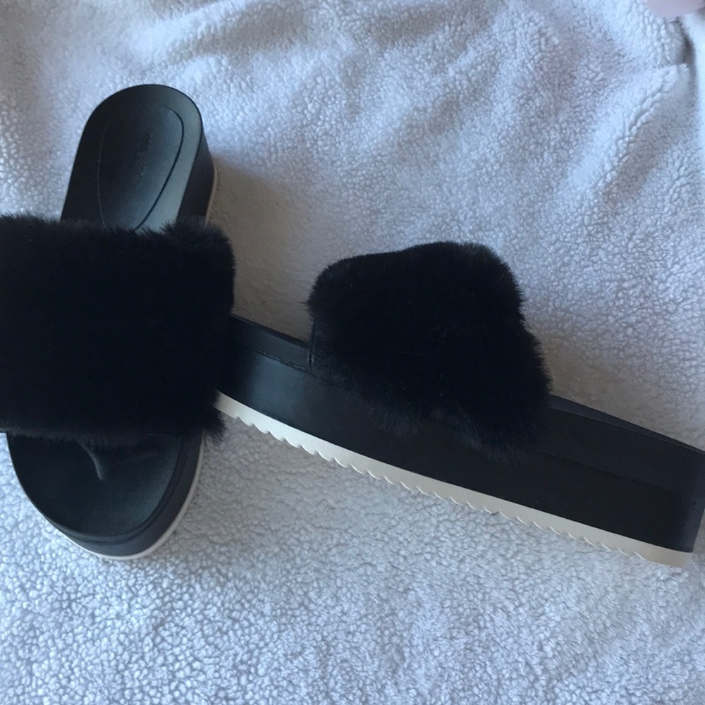Platform Slides
